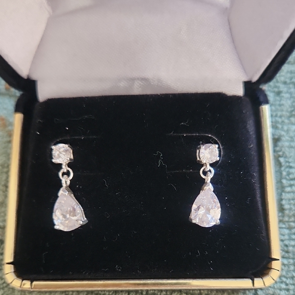 Elegant Silver Drop Earrings